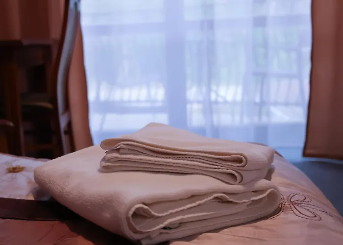 Dworek Bursztynowy Bed & Breakfast Karwia